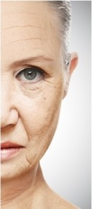 concept of aging and skin care. face of young woman and an old woman with wrinkles